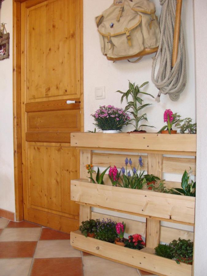 Stella Alpina Bed and Breakfast Rimplas Eksteriør billede